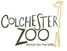 Colchester Zoo